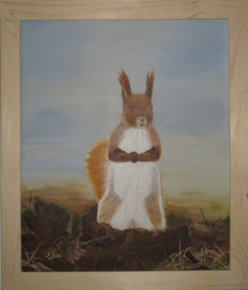 Eichhörnchen