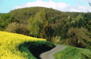 Zufahrt zum Friedhof