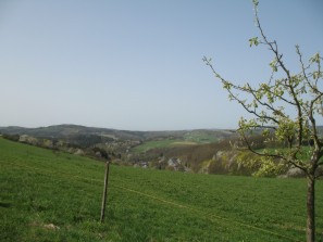 Kirschblte, Blick auf Herrstein