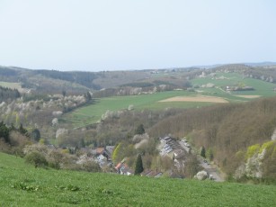 Kirschblte, Blick auf Herrstein