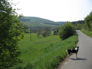 Ortsausgang Richtung Fischbach