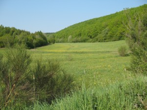 Hosenbachtal