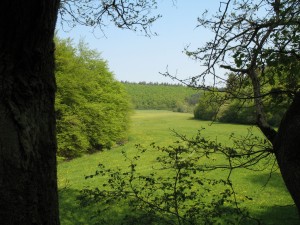 Hosenbachtal