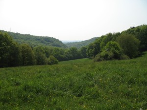 Blick nach
	  Fischbach