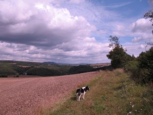 Wolken