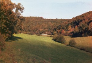 oberhalb Ortseingang, Richtung Breitental