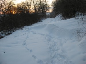 Weg nach Herrstein